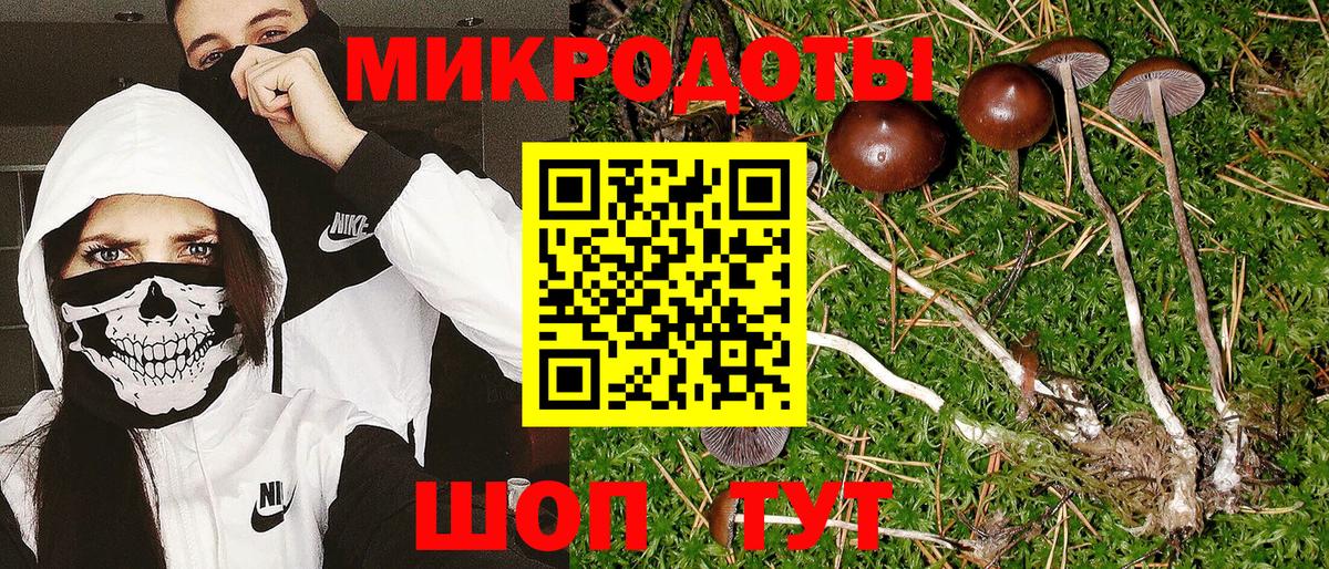 Псилоцибиновые грибы MAGIC MUSHROOMS Кизилюрт