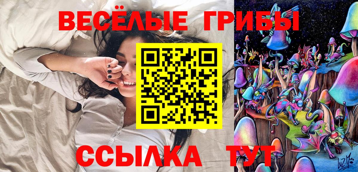 Канабис  ГАШИШ  Амфетамин кристаллы  МЕФ   Купить закладку  Кизилюрт  NBOMe  Кокаин  MDMA  Вход с VPN 