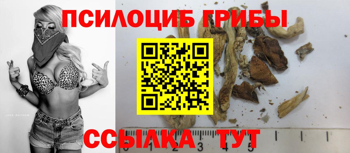 Псилоцибиновые грибы MAGIC MUSHROOMS  Псилоцибиновые грибы Cubensis  Кизилюрт  Вход с VPN 